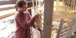 Barnaby preparing to fit the starboard sheer strake